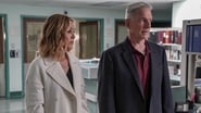 serie NCIS : Enquêtes Spéciales saison 16 episode 24 en streaming