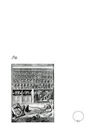 Wunderkammer