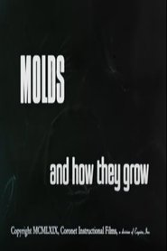 poster Molds and How They Grow
