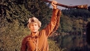 Davy Crockett, roi des trappeurs wallpaper 