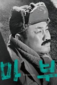 poster The Coachman