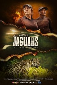 poster Au nom des jaguars