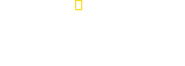 Logo of The Wild Life of Dr. Ole image size 1920x680