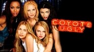 Backdrop of Coyote Ugly image size 1280x720