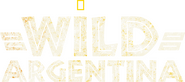 Logo of Wild Argentina image size 2919x1299
