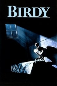 poster Birdy