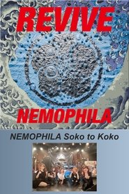 poster NEMOPHILA Soko to Koko