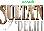 Logo of Sultan Of Delhi image size 388x279