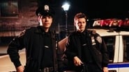 Blue Bloods season 3 episode 22