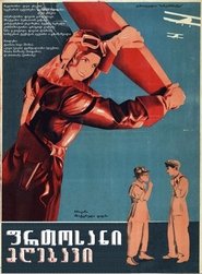 poster The Flying Painter