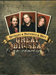 Courage & Patience & Grit: Great Big Sea in Concert