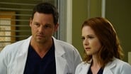 Grey's Anatomy season 12 episode 22