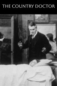 Poster of The Country Doctor image size 500x750