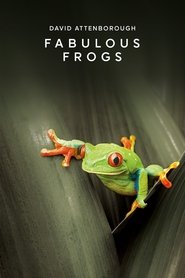 poster Fabulous Frogs
