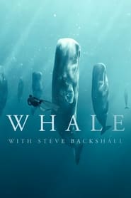 Whale with Steve Backshall