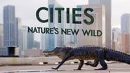 Cities: Nature's New Wild  