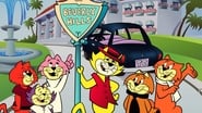 Top Cat and the Beverly Hills Cats wallpaper 
