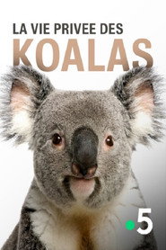 poster La vie privée des koalas