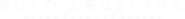 Logo of Solo Leveling image size 783x81