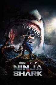 Ninja vs Shark Poster