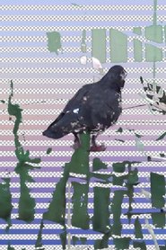 Tugging Diary Poster