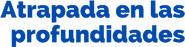 Logo of Breaking Surface image size 827x210
