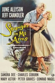 poster A Stranger in My Arms