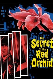 poster Secret of the Red Orchid