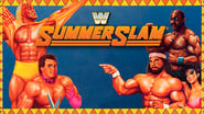 WWE SummerSlam 1989 wallpaper 