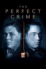 poster The Perfect Crime: Leopold & Loeb