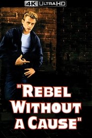 Poster of Rebel Without a Cause image size 1000x1500