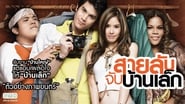 สายลับจับบ้านเล็ก wallpaper 