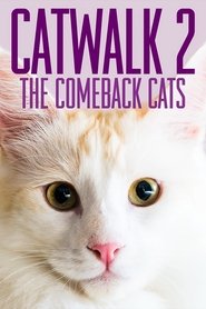 poster Catwalk 2: The Comeback Cats