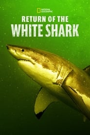 Return of the White Shark 2023 Soap2Day