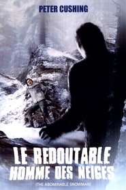 Voir film Le Redoutable Homme des neiges en streaming