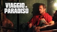 Kill the Gringo wallpaper 