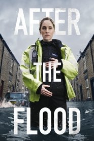 Poster of After the Flood image size 500x750