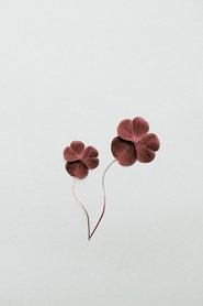 poster Clover