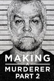 Serie streaming | voir Making a Murderer en streaming | HD-serie