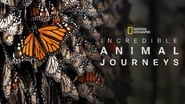 Backdrop of Incredible Animal Journeys image size 1920x1080