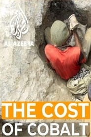 poster The Cost of Cobalt