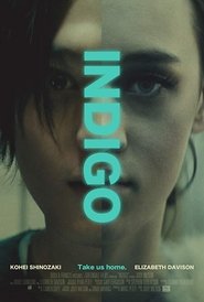 poster Indigo
