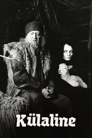 The Visitor