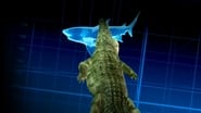 Crocos vs Requins wallpaper 