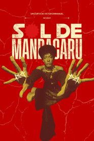 Sol de Mandacaru