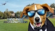 Agent Toby Barks wallpaper 