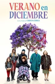 Summer In December Poster