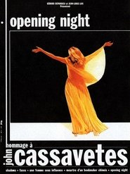 Poster of Opening Night image size 600x800