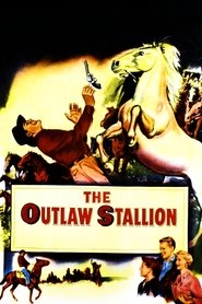 poster The Outlaw Stallion