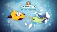 Les Octonauts season 1 episode 17